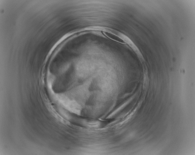 X0000083040908200702231926