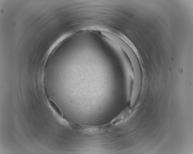 X0000083040909200702231926