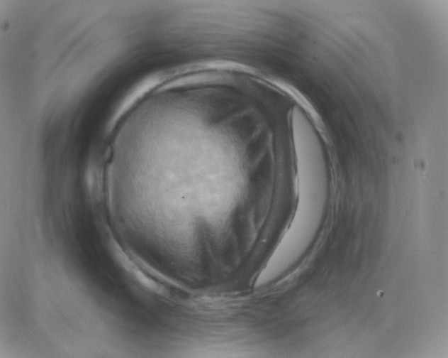 X0000083040910200702231926