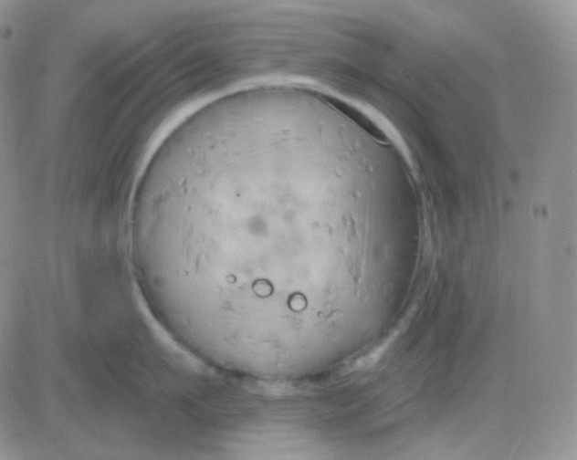 X0000083040911200702231926