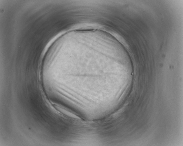 X0000083040912200702231926