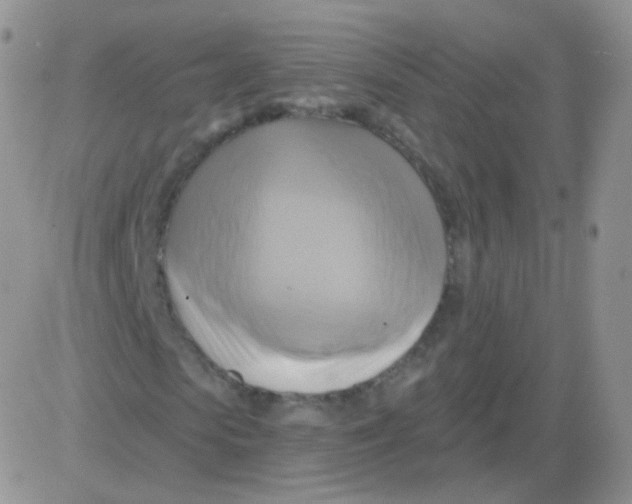 X0000083040913200702231926