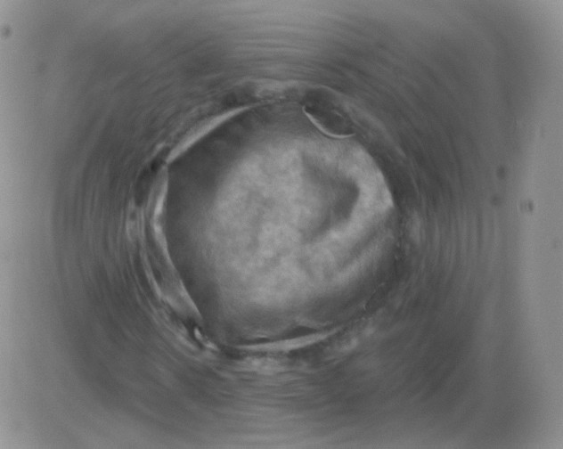 X0000083040914200702231926