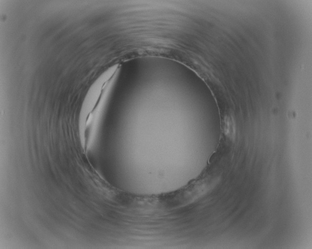 X0000083040915200702231926