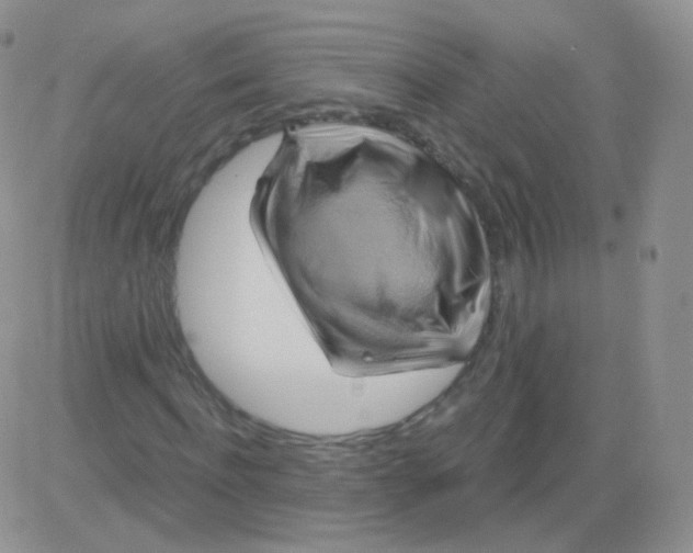 X0000083040916200702231926