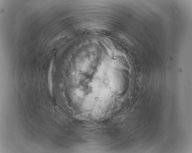 X0000083040917200702231926