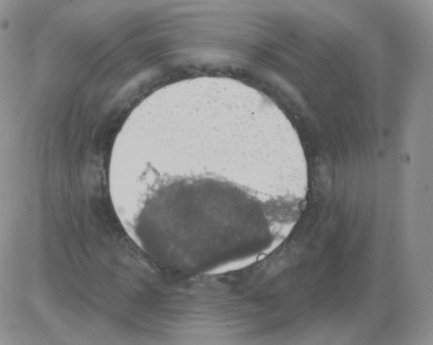 X0000083040918200702231926