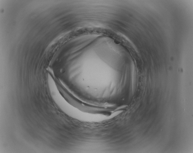 X0000083040919200702231926