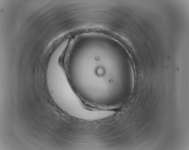 X0000083040920200702231926