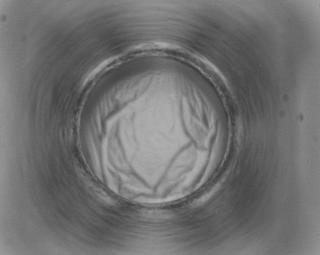 X0000083040921200702231926