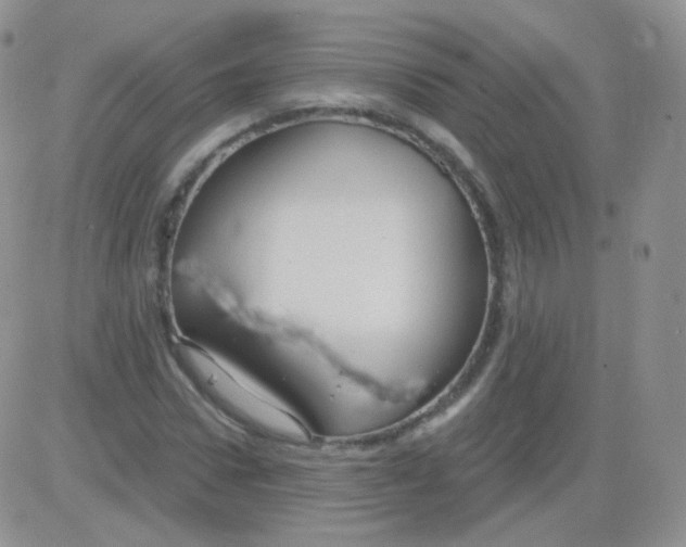 X0000083040922200702231926