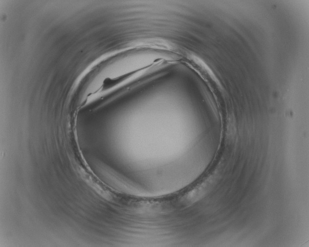 X0000083040923200702231926