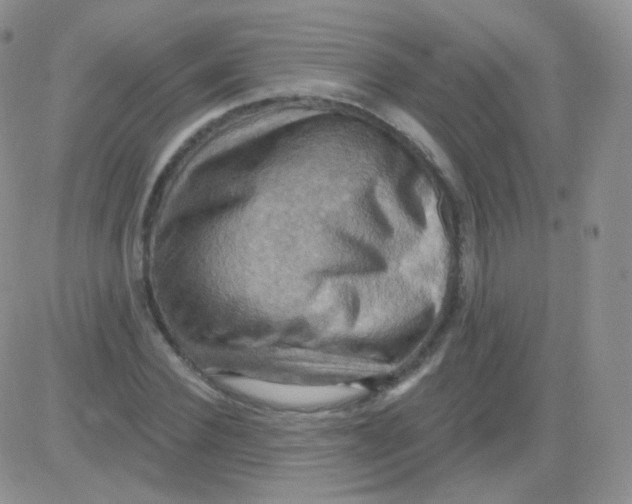 X0000083040924200702231926