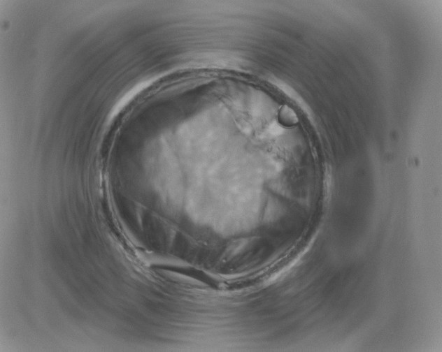 X0000083040925200702231926