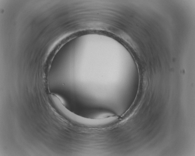 X0000083040926200702231926