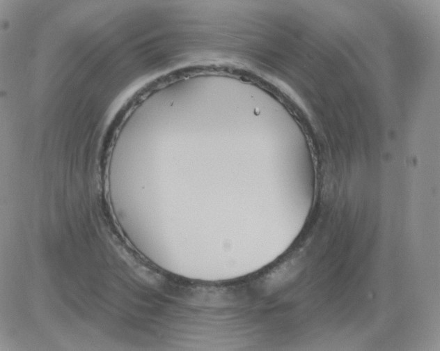 X0000083040927200702231926