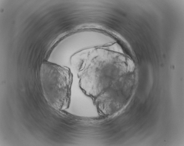 X0000083040929200702231926