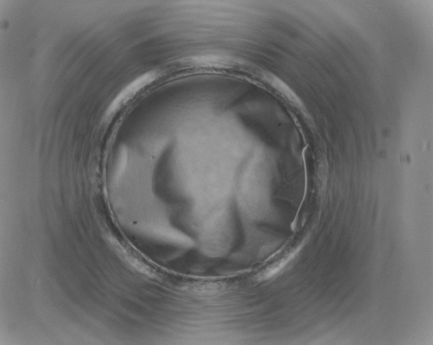 X0000083040930200702231926