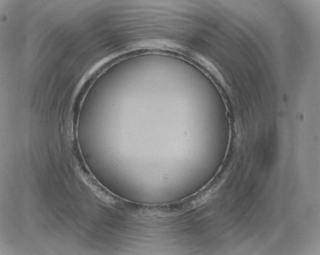 X0000083040931200702231926