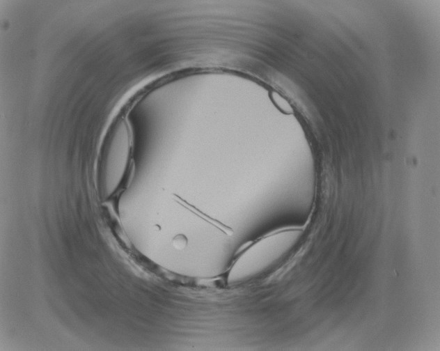 X0000083040932200702231926