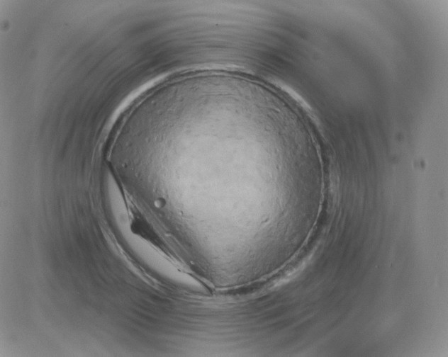 X0000083040933200702231926