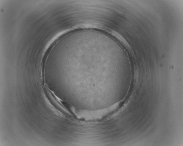 X0000083040934200702231926