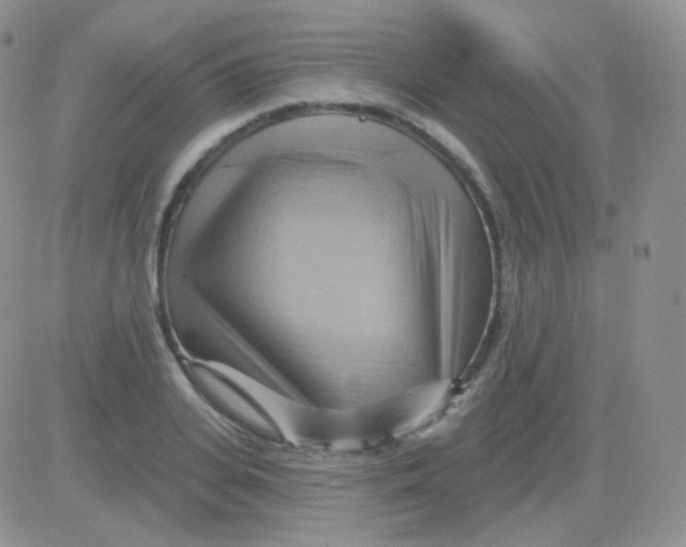 X0000083040935200702231926