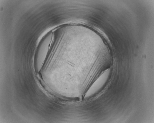 X0000083040936200702231926