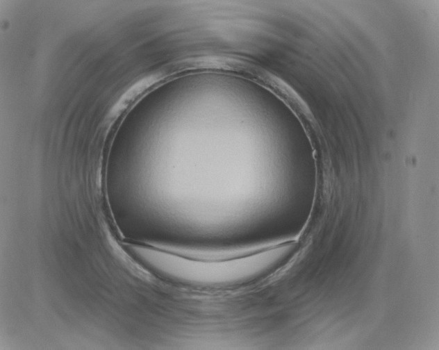 X0000083040938200702231926