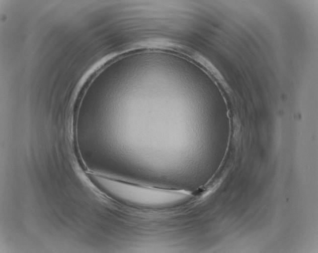 X0000083040939200702231926