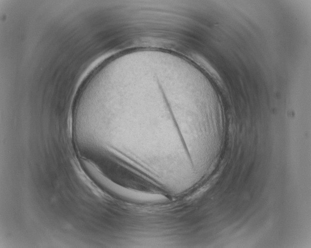 X0000083040940200702231926