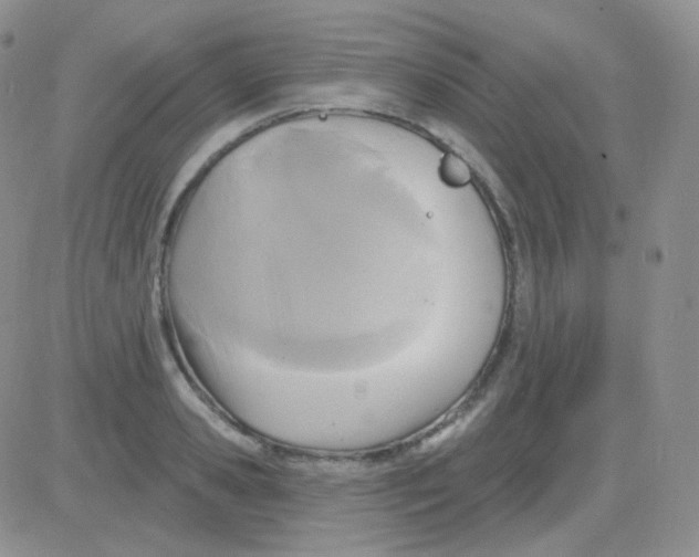 X0000083040941200702231926