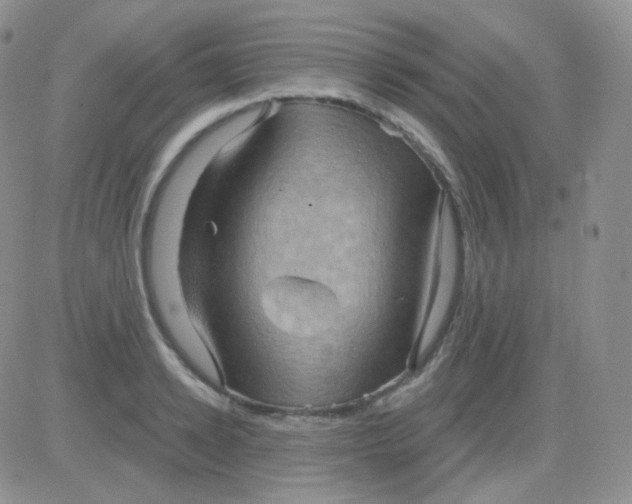 X0000083040942200702231926