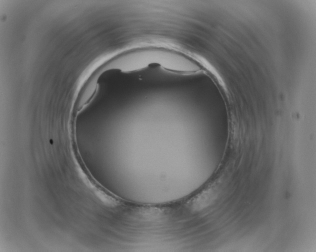 X0000083040943200702231926