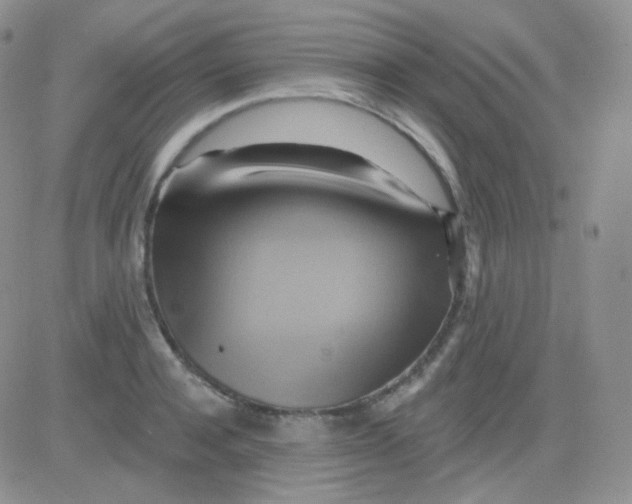 X0000083040944200702231926