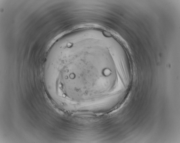 X0000083040945200702231926