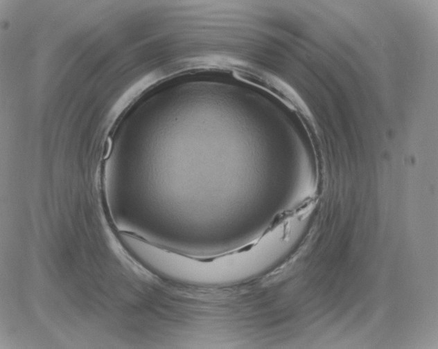 X0000083040946200702231926