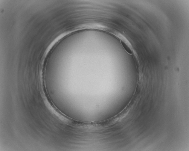 X0000083040947200702231926