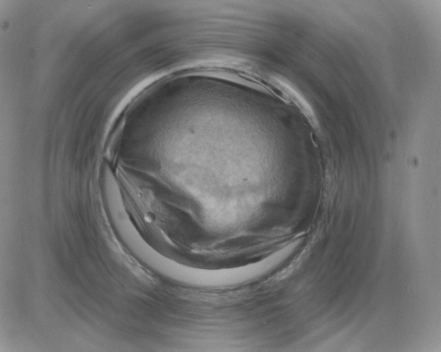 X0000083040948200702231926