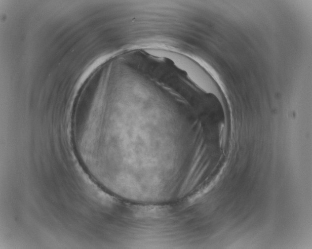 X0000083040949200702231926