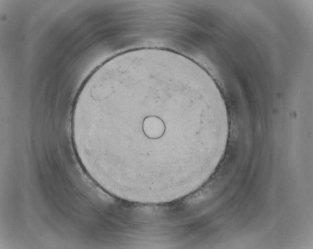 X0000083040950200702231926