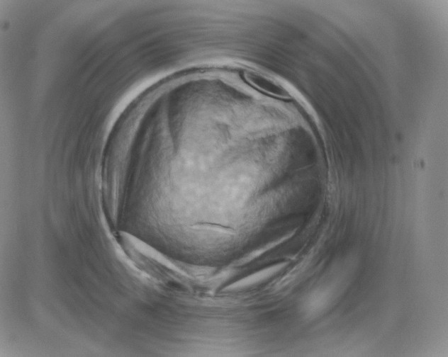 X0000083040951200702231926