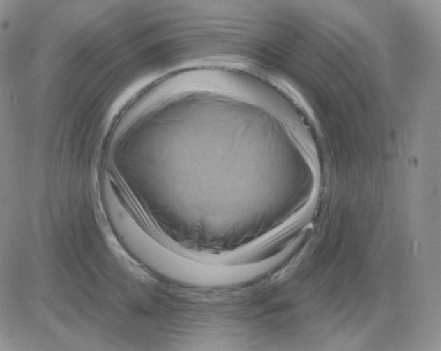 X0000083040952200702231926