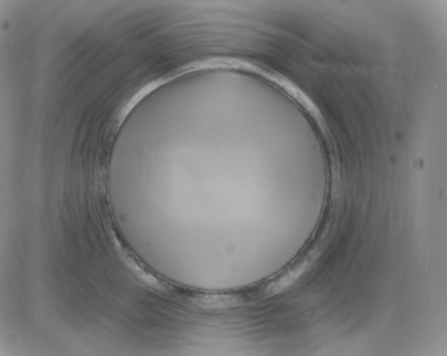 X0000083040953200702231926