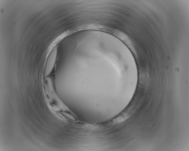 X0000083040954200702231926