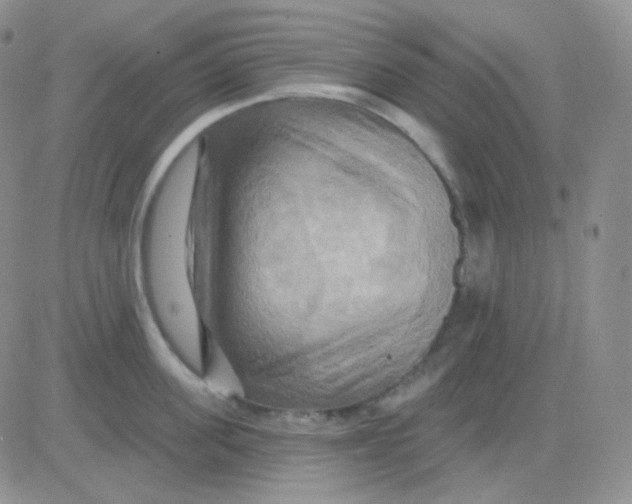 X0000083040955200702231926