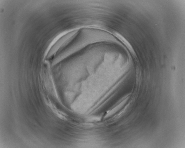 X0000083040956200702231926