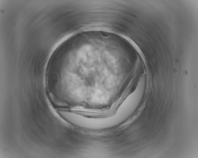 X0000083040957200702231926