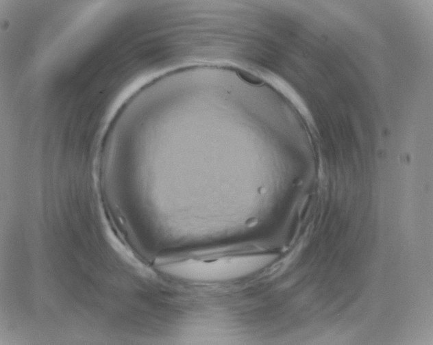 X0000083040958200702231926