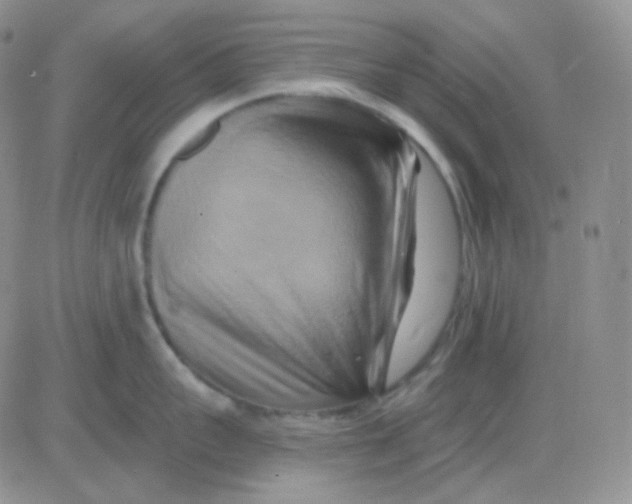 X0000083040959200702231926